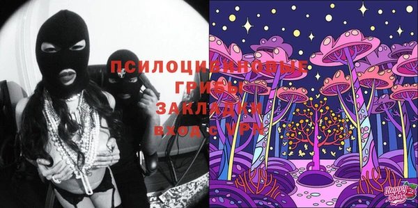 шишки Алексеевка