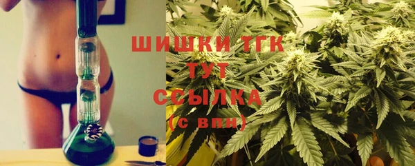 шишки Алексеевка
