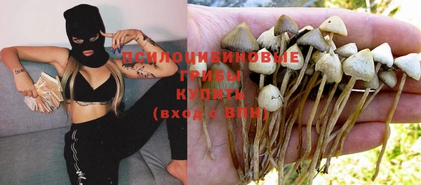 прущий лед Абаза