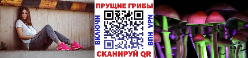 Галлюциногенные грибы GOLDEN TEACHER  цены   Никольское 
