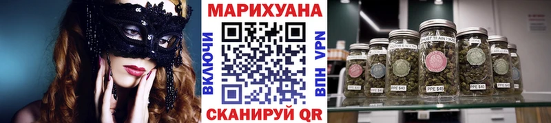 Бошки марихуана планчик Никольское